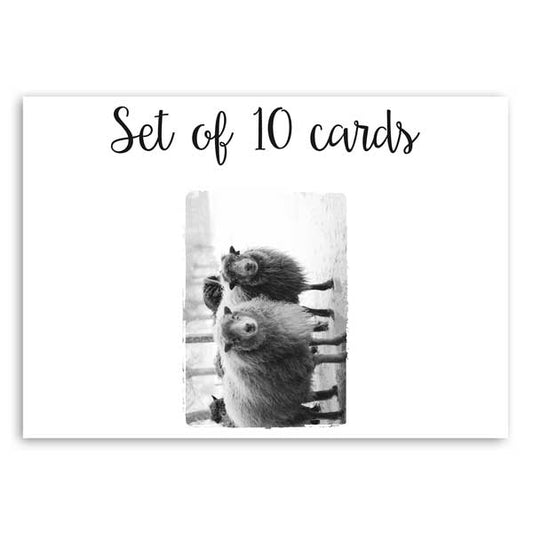 PD106